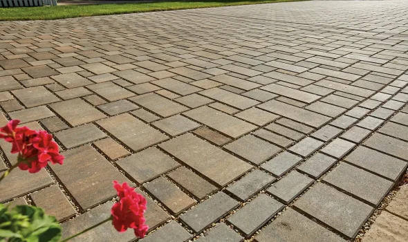 About Us | Paving Contractors Auckland — Your Eco-Friendly Paving Experts Paving Contractors Auckland about us page showcasing eco-friendly paving choices for sustainable outdoor spaces